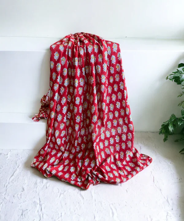 Photoroom_20240328_104016 Photoroom_20240328_104016